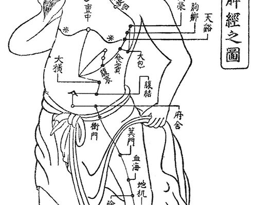 ブログ・コラム