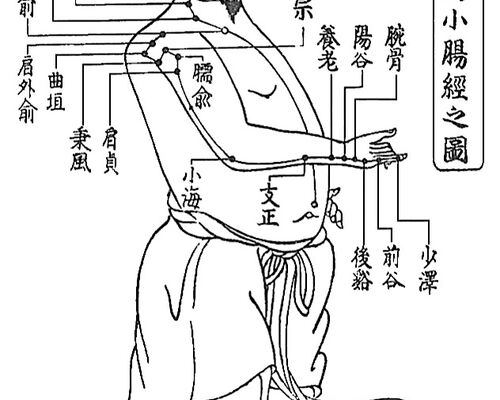 手の太陽小腸経