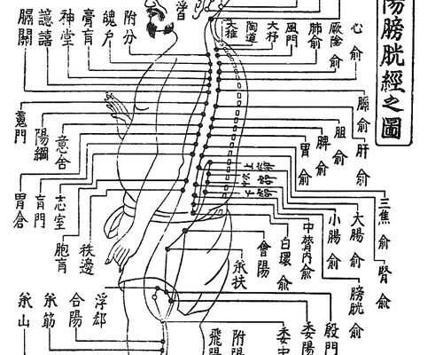 足の太陽膀胱経