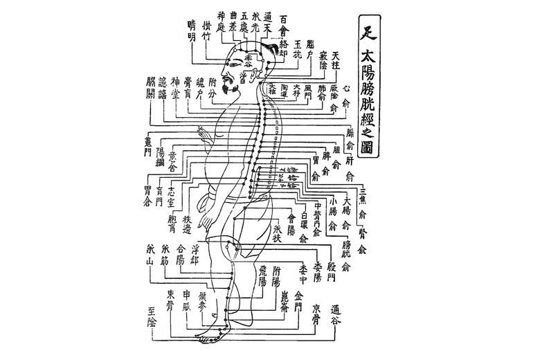 足の太陽膀胱経