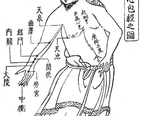 手の厥陰心包経