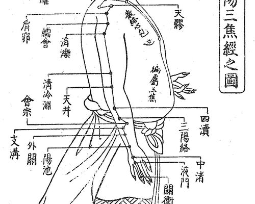 手の少陽三焦経