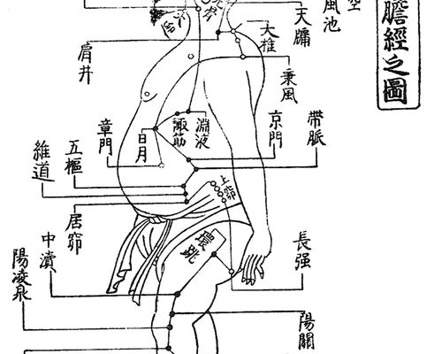 1D6D1FB6-0EE9-4F8C-9DAE-E19F77ACCFFE