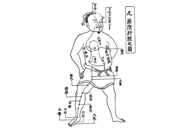 足の厥陰肝経