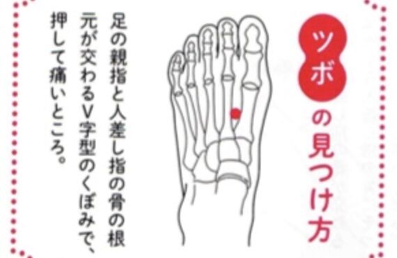 「鍼灸マッサージ院　心和」ツボ講座！