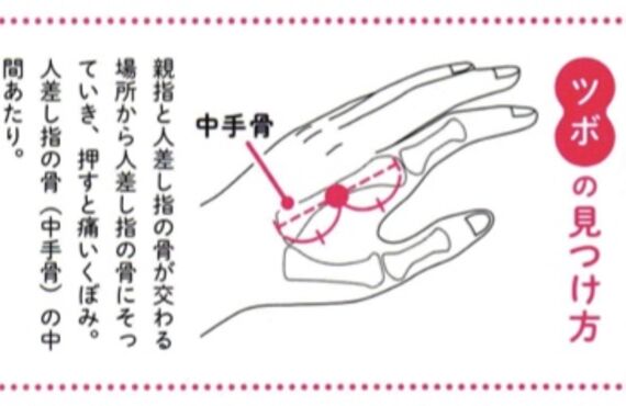 「鍼灸マッサージ院　心和」ツボ講座！