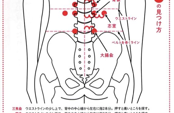 「鍼灸マッサージ院　心和」ツボ講座！