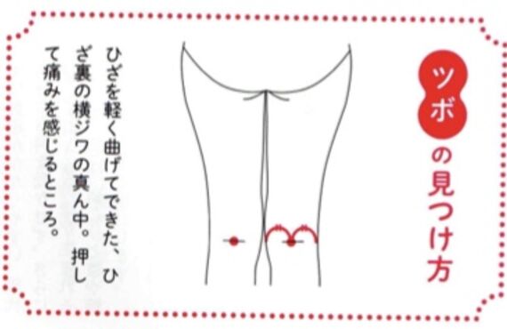 「鍼灸マッサージ院　心和」ツボ講座！